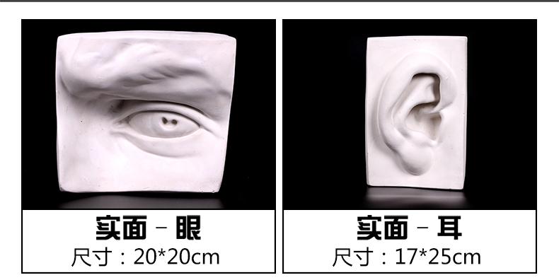 预售年后发货大卫五官石膏几何体石膏像素描静物实面切面石膏像摆件