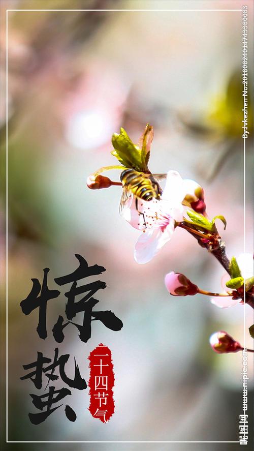 惊蛰图片