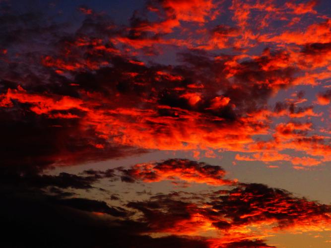 【悉尼的火烧云摄影图片】生态摄影_太平洋电脑网摄影