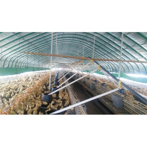 肉鸡肉鸭养殖大棚 养猪椭圆管温室大棚 养殖大棚建设