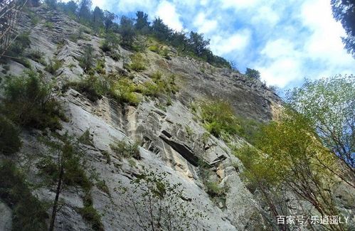 吐鲁沟森林公园美景