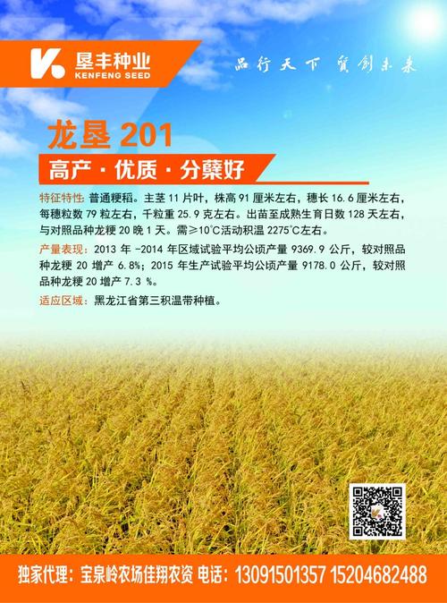 龙粳63,龙粳65,垦稻22,垦稻32,垦稻33,龙垦201,龙洋11(长粒稻花香)