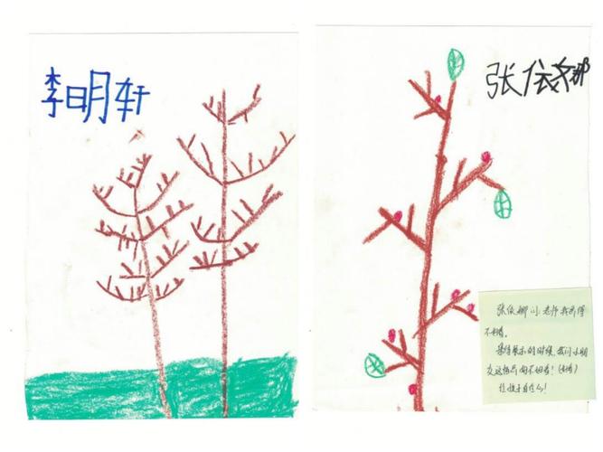 《给小树穿冬衣》——记大班主题活动