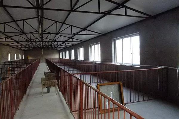 看过来!农村小型养猪场设计,最低成本科学养猪简易猪栏猪舍建造图!