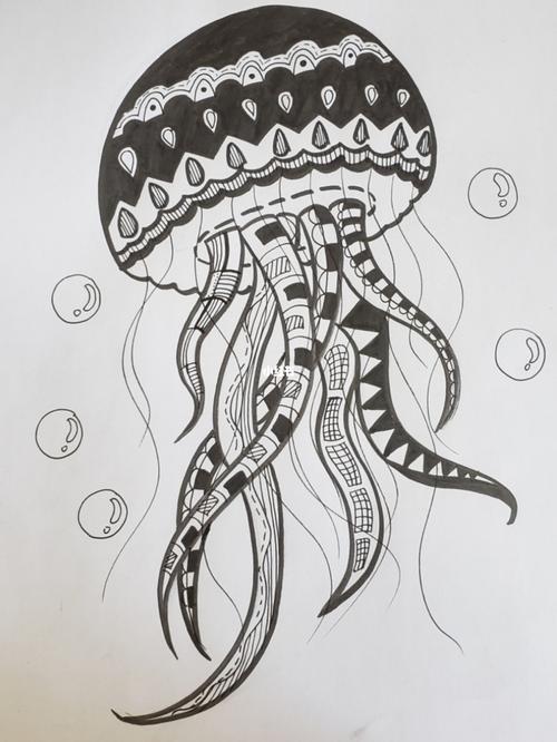 水母线描小记_水母_线描_文化_绘画