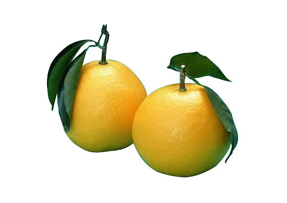 photoshop工具—快速选择工具和魔棒工具的操作与使用