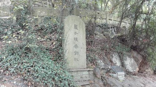 鹳山望新沙,新沙笑鹳山!