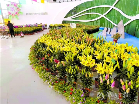 岭南农业产业创意园入口处装点的花卉景观./佛山日报记者崔艺文摄