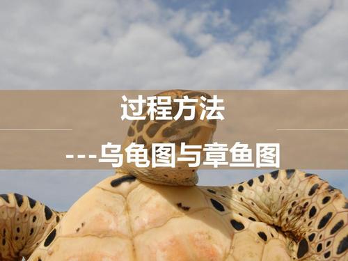 iatf-过程方法-乌龟图与章鱼图ppt模板