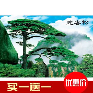 墙画迎客松印刷山水画风景客厅家居墙贴画简约装饰无框防水纸质画