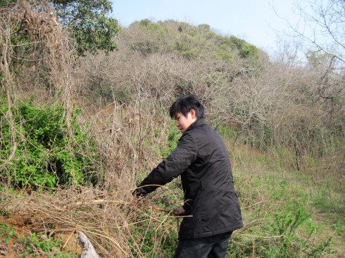 清明扫墓记实(图片)