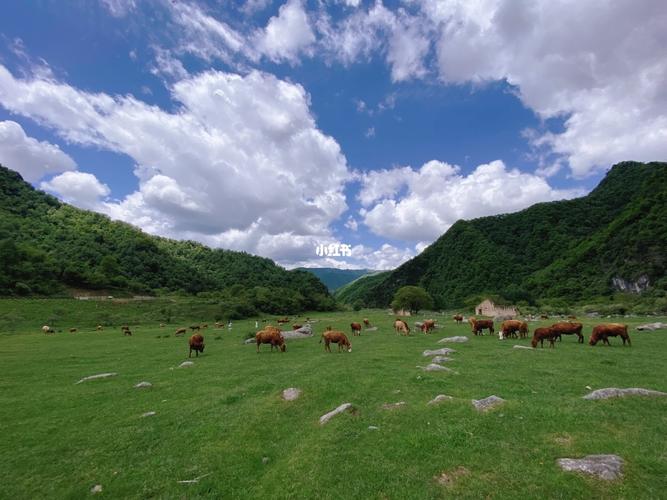 狮子沟牧场_狮子沟牧场自由行热门攻略_小众_景点_牧场_旅行地_自驾游