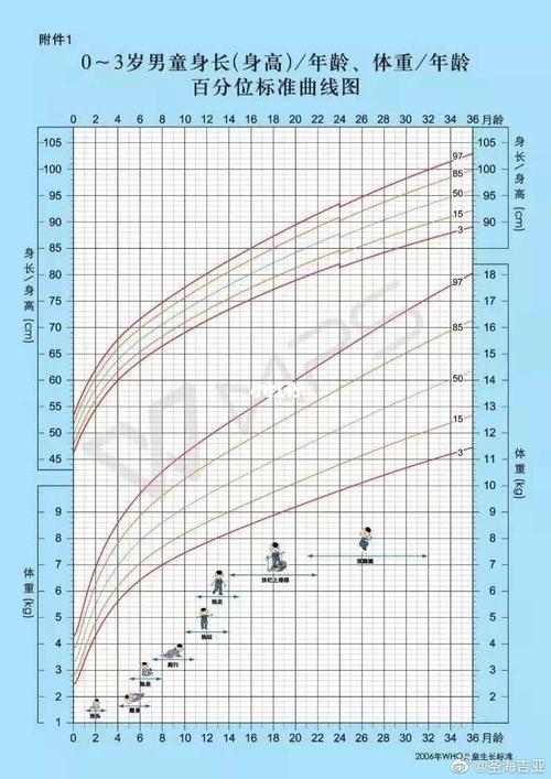 男童女童身高体重对照曲线图_社科_社科其他