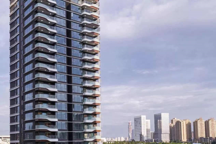 德商集团在成都布局的首批四大天玺产品,以客户价值导向为核心打造的