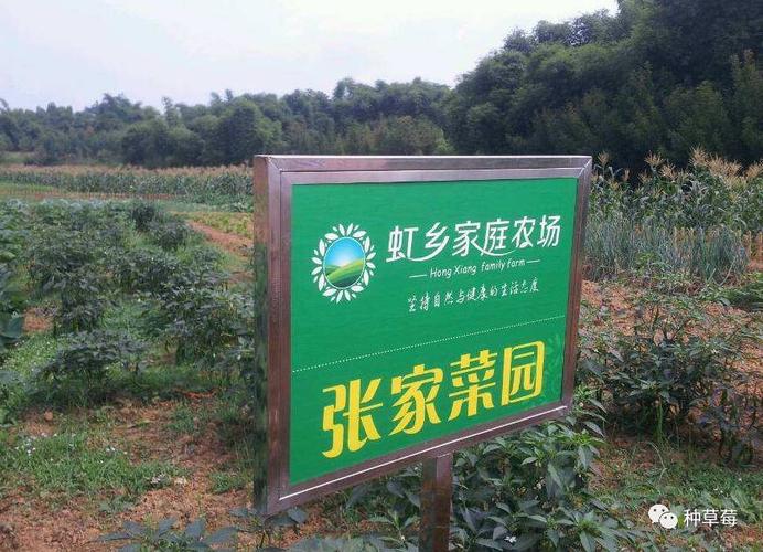 家庭农场正火爆,原来申请,贷款,补贴需要知道这些!