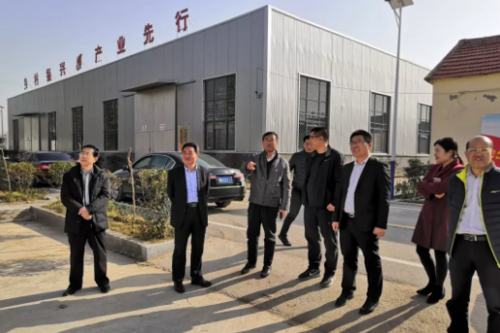 王兴华到壮岗镇南竹园村调研