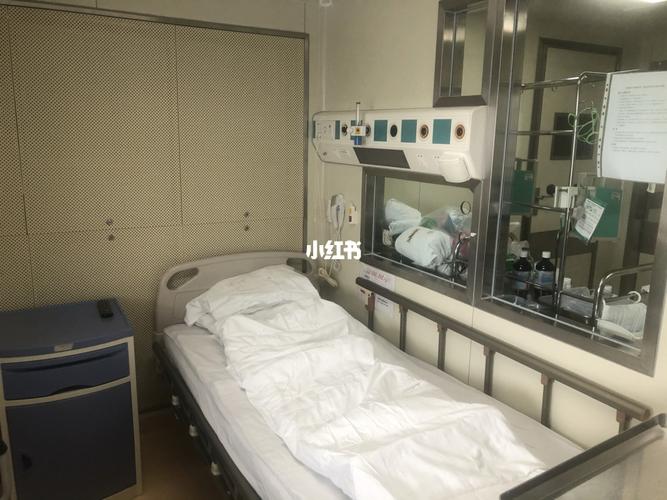 分享 白血病骨髓移植进仓