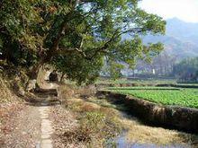 竹溪村(浙江省嵊州市竹溪村)