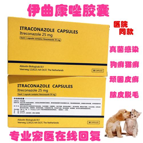 宠物伊曲康唑胶囊狗狗猫咪皮肤病真菌感染猫癣狗癣小孢子菌脓皮症