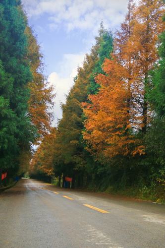 其它 南川山王坪拍摄 写美篇 山王坪位于重庆市南川区三坪镇境内