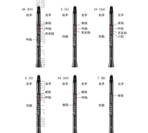 akai雅佳solo电吹管ewi5000演奏单双簧管电子管笛子乐器品质定制 套餐