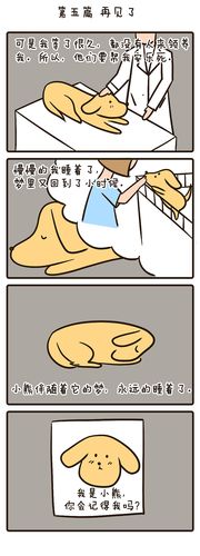 流浪宠物主题漫画小熊