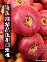 现货陕西大荔油蟠桃 5斤当季水果纽扣蟠桃水蜜桃新鲜桃子纯甜现摘