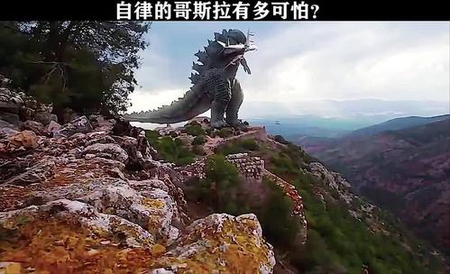 自律的哥斯拉pk金刚谁更厉害哥斯拉大战金刚