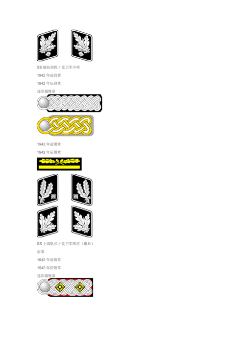 党卫军军衔简介.doc
