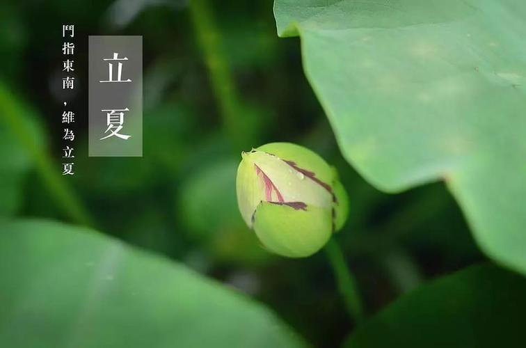 立夏三候