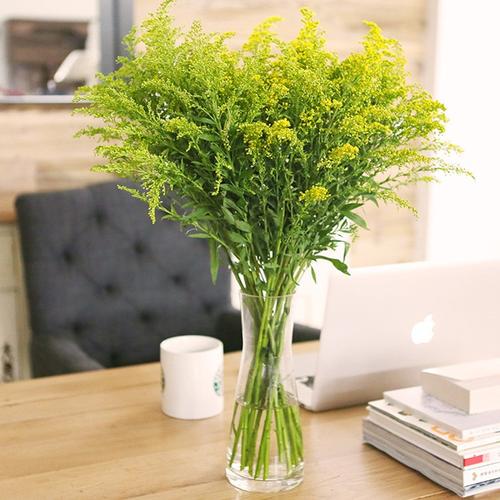 黄莺花全国鲜花速递昆明鲜花批发黄莺玫瑰配花配草一扎起批