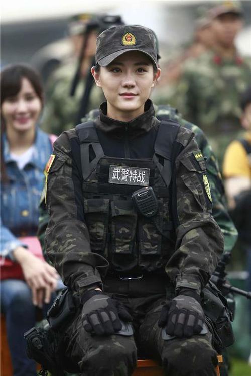 《利刃出击 》是由武警部队政治工作部电视艺术宣传中心,上海在扬影视