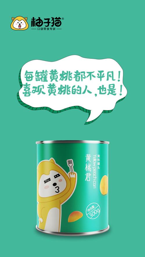 柚子猫的罐头 系列海报