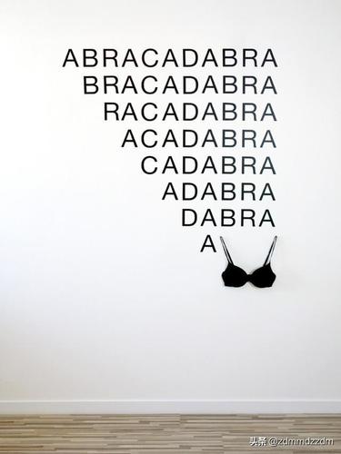 《abracadabra》胸罩