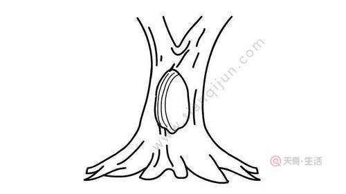 树洞简笔画教程 树洞简笔画怎么画