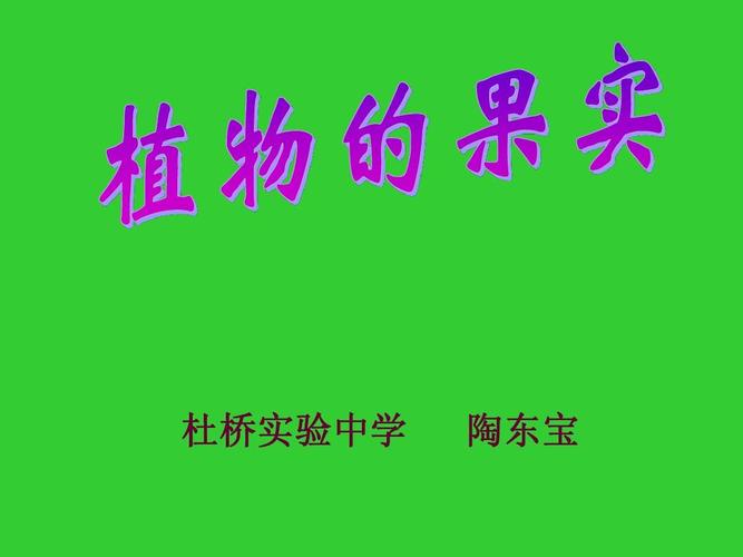 植物的果实ppt