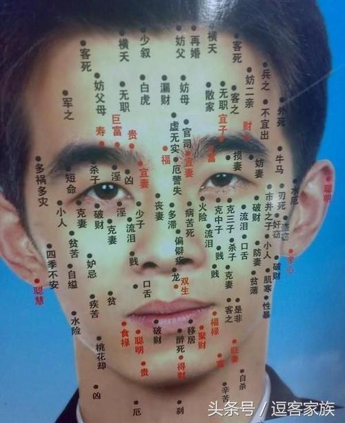 痣的位置与命运图-脸上长痣的位置与命运图解   图1:男人脸上长痣