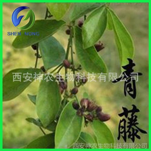 青藤提取物 盐酸青藤碱98% 高效纯度 现货包邮