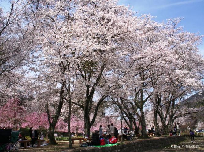 笠置山自然公园