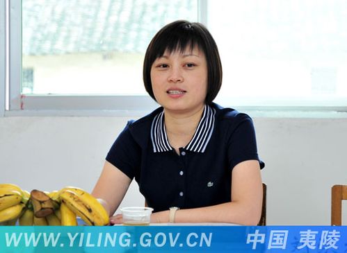杨燕的工作分工