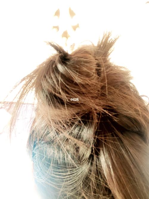 剪玩头发第16天.