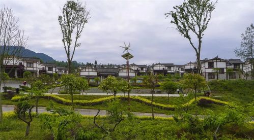 通江县,空山国家森林公园,国家林业和草原局,王坪村,龙池村