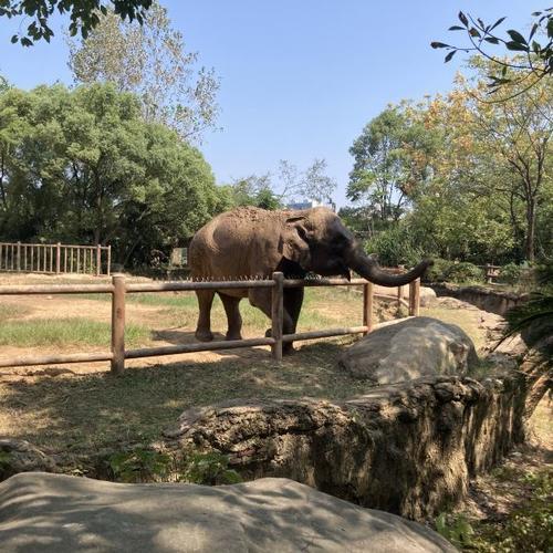 首页>南昌市>休闲娱乐>景点公园>景点>南昌动物园 631****646:动物