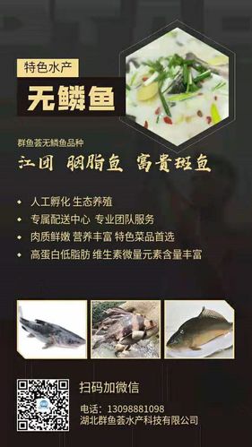 无鳞鱼能不能吃,无鳞鱼好吃吗