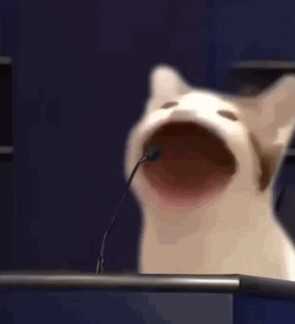 popcat啵嘴猫表情包
