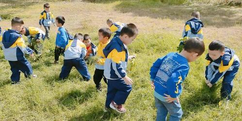 生态研学邂逅九龙湿地共赏绚丽秋色丽水南城实验幼儿园芙蓉中班段活动