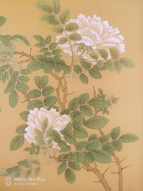 白蔷薇绘制步骤