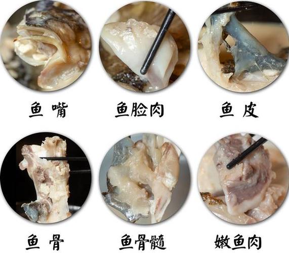 鱼头包含了一条鱼的精华,鱼嘴,鱼脸肉,鱼皮…懂吃的先吃这几块~ 「黑