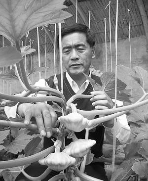  p>刘继成,青县 a href="#">清州镇 /a>司 a href="#" data-lemmaid="