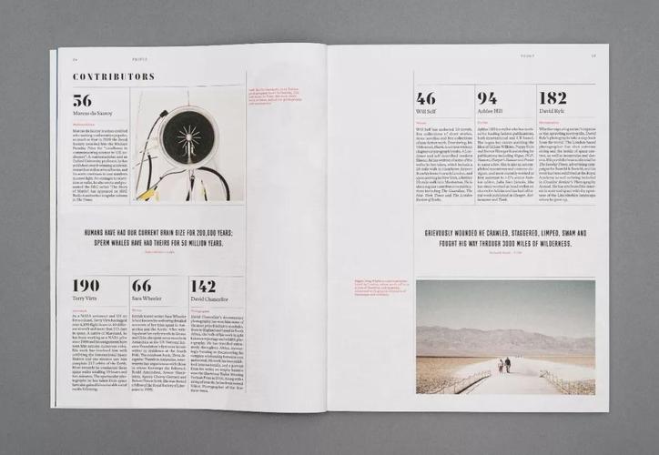 深圳宣传品设计|借鉴国外排版设计_资讯_深圳艺之光